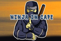 Ninja in Cape img